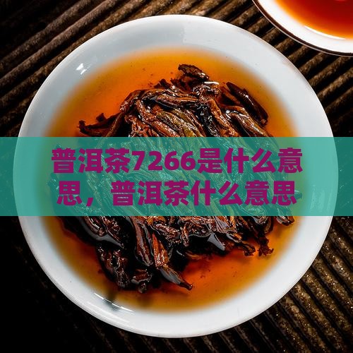 普洱茶7266什么意思
