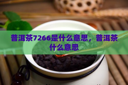 普洱茶7266什么意思