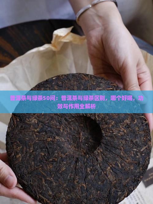 普洱茶与绿茶50问
