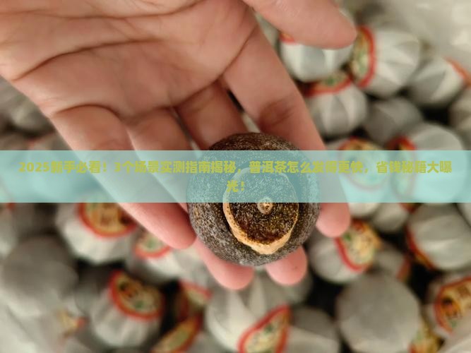 普洱茶怎么才能发的更快