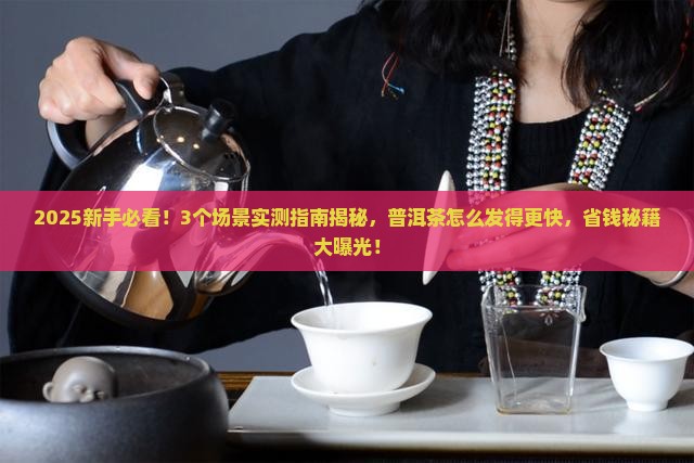 普洱茶怎么才能发的更快