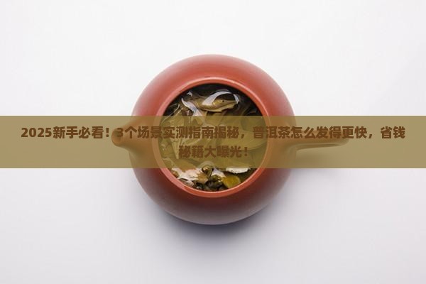 普洱茶怎么才能发的更快