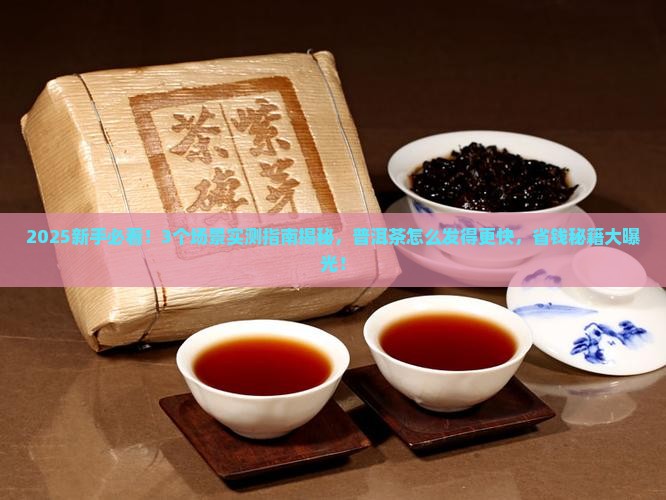普洱茶怎么才能发的更快