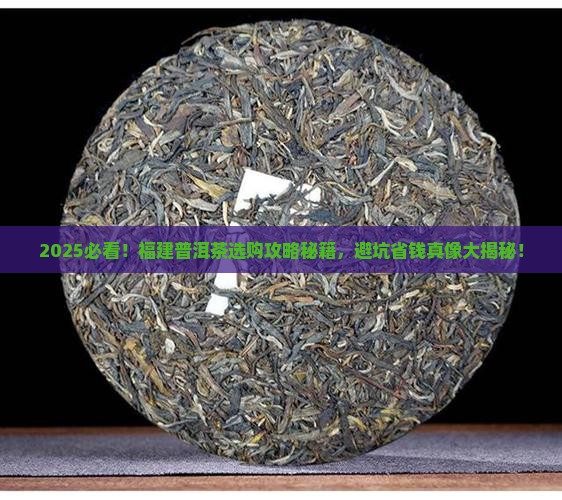 福建普洱茶哪家靠谱