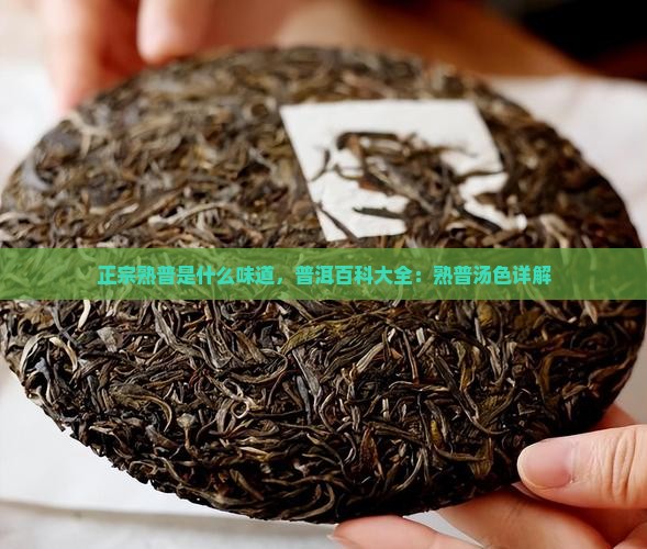正宗熟普是什么味道熟普汤色大全