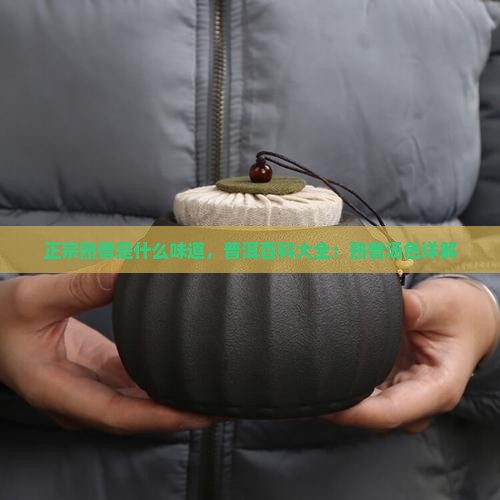 正宗熟普是什么味道熟普汤色大全