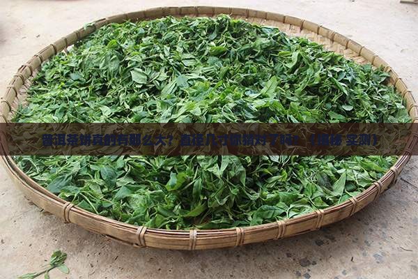 普洱茶饼直径几寸