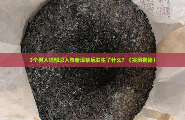 邹忌人参普洱茶