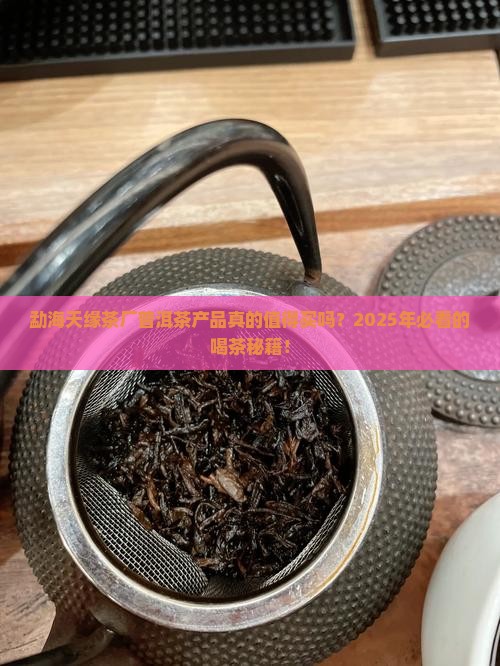 勐海天缘茶厂普洱茶产品