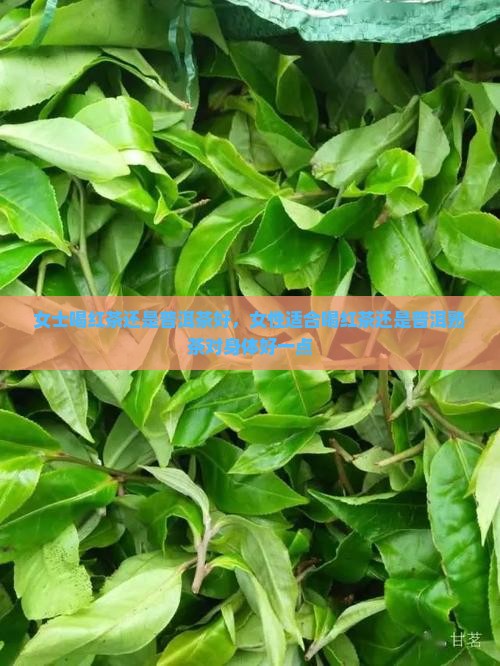 女士喝红茶还是普洱茶好