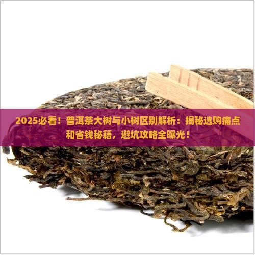 普洱茶大树与小树区别