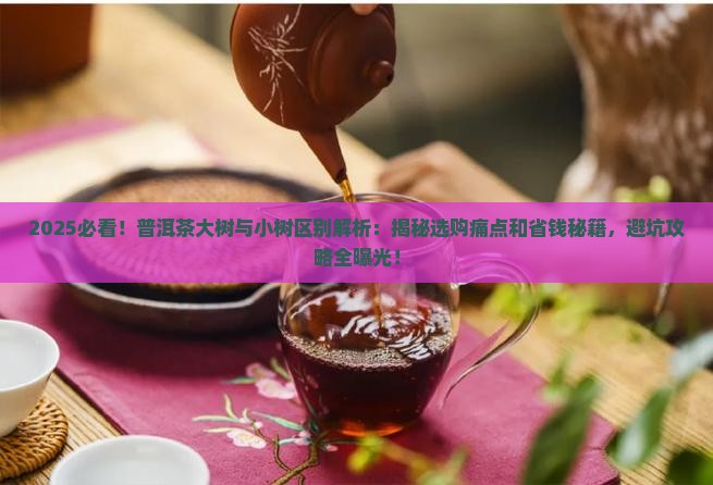 普洱茶大树与小树区别