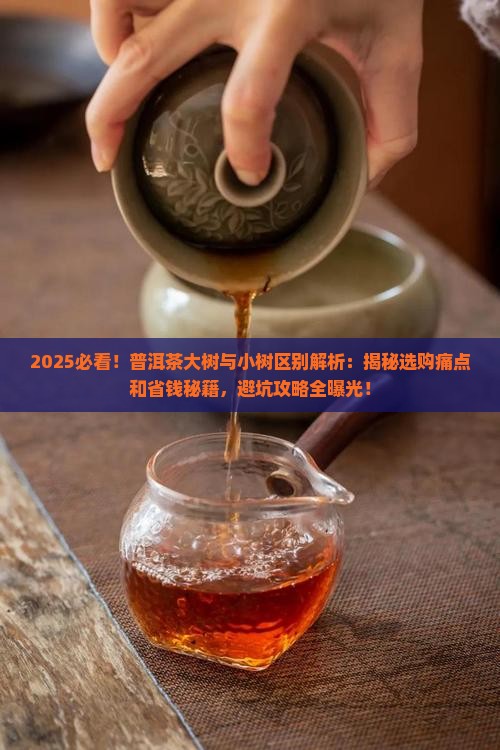 普洱茶大树与小树区别