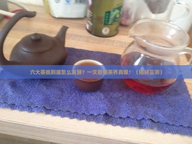 六大茶类发酵度区分