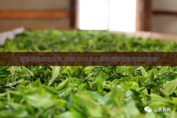 普洱茶熟饼怎么样