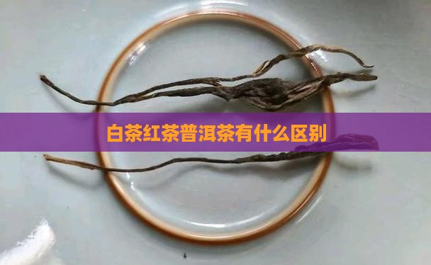 白茶红茶普洱茶有什么区别