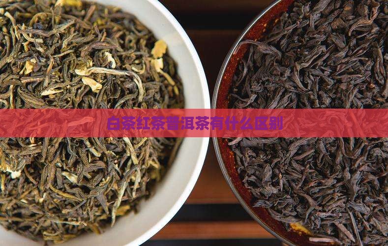 白茶红茶普洱茶有什么区别