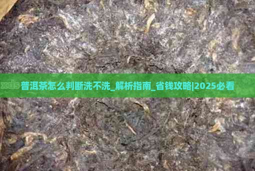普洱茶怎么判断洗不洗