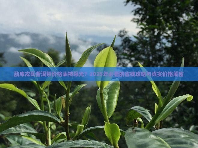 勐库戎氏普洱茶价格表