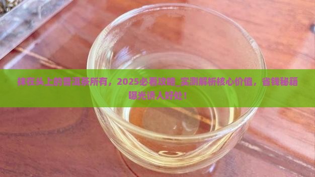抹在头上的普洱茶所有品牌