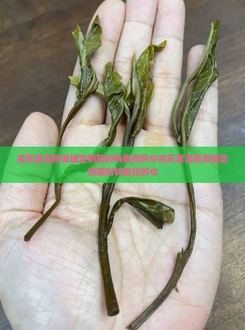 戎氏普洱茶易捷定制