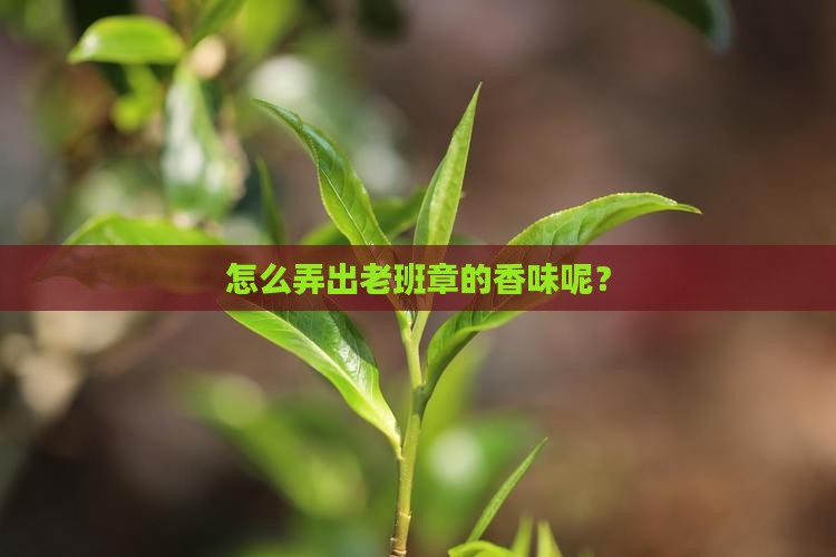 怎么弄出老班章的香味