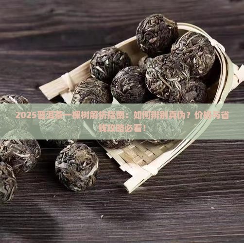 什么叫普洱茶一棵树