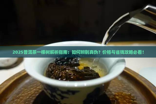 什么叫普洱茶一棵树