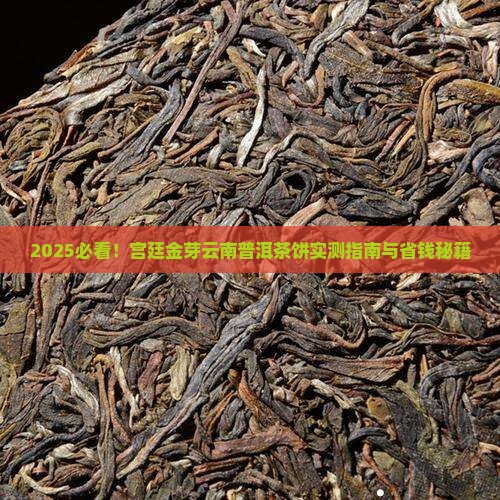 宫廷金芽云南普洱茶饼