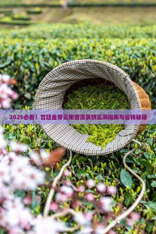 宫廷金芽云南普洱茶饼
