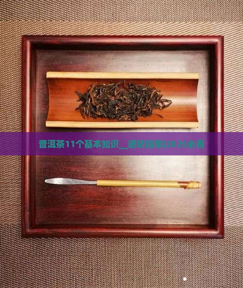 普洱茶11个基本知识