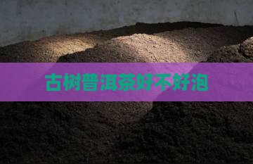 古农普洱茶好不好泡