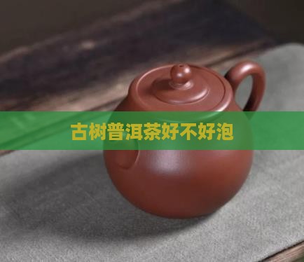 古农普洱茶好不好泡