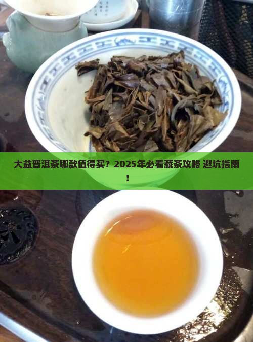 大益普洱茶哪款值得购买藏