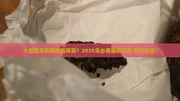 大益普洱茶哪款值得购买藏