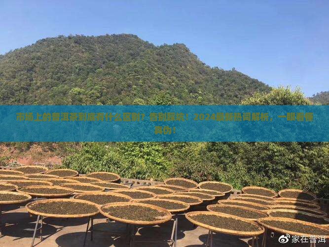 市场上的普洱茶有什么区别