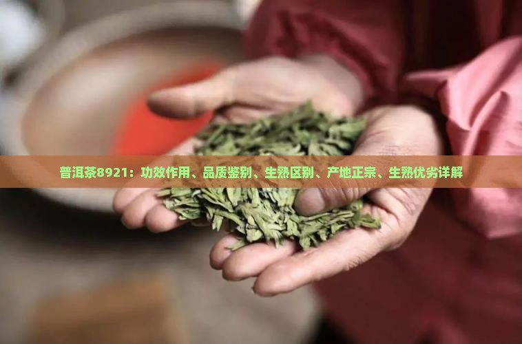 普洱茶8921