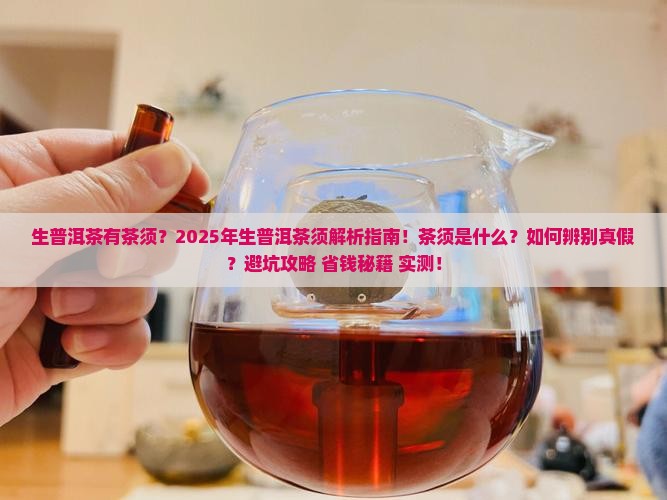 生普洱茶有茶须
