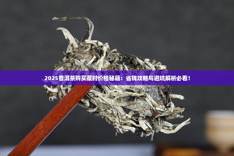 普洱茶购买藏时价格