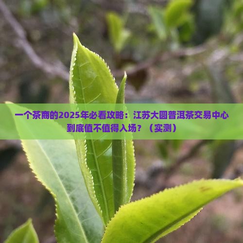 江苏大圆普洱茶交易中心