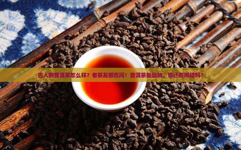 古人韵普洱茶怎么样
