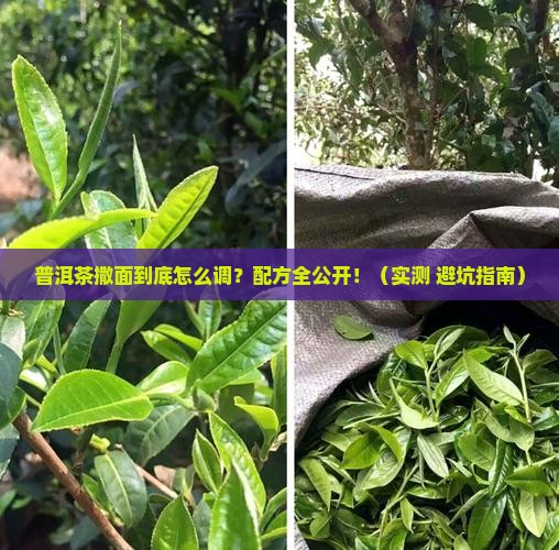 普洱茶撒面的配方