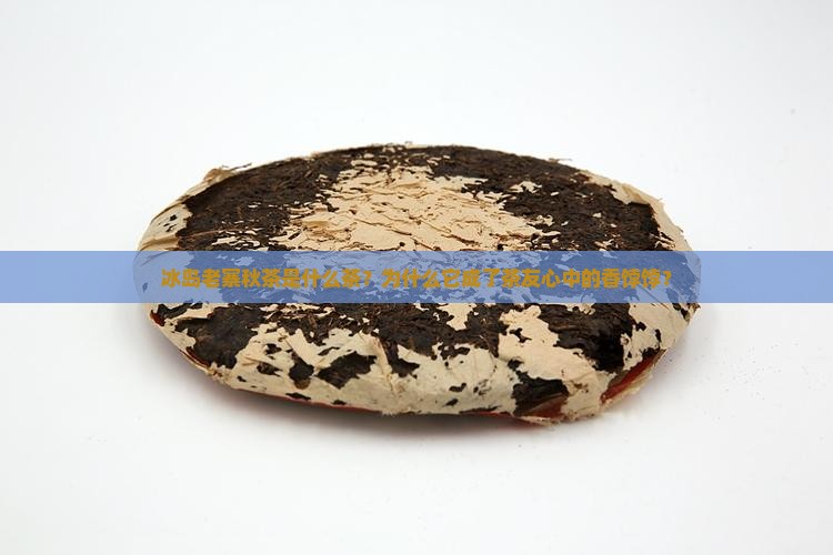 冰岛老寨秋茶是什么茶