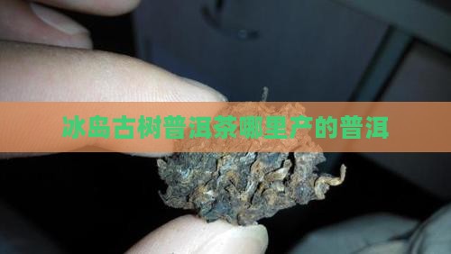 冰岛古树茶哪里产的