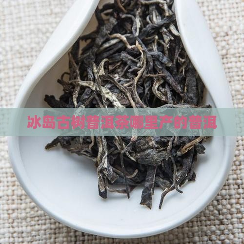 冰岛古树茶哪里产的