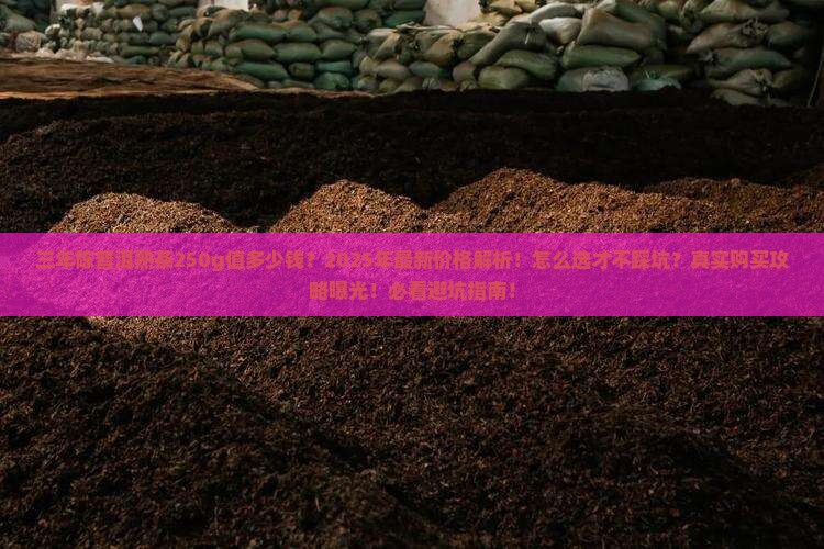 三年陈普洱熟多少钱250g