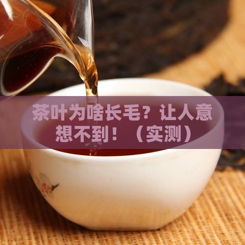 为什么茶叶上面有毛