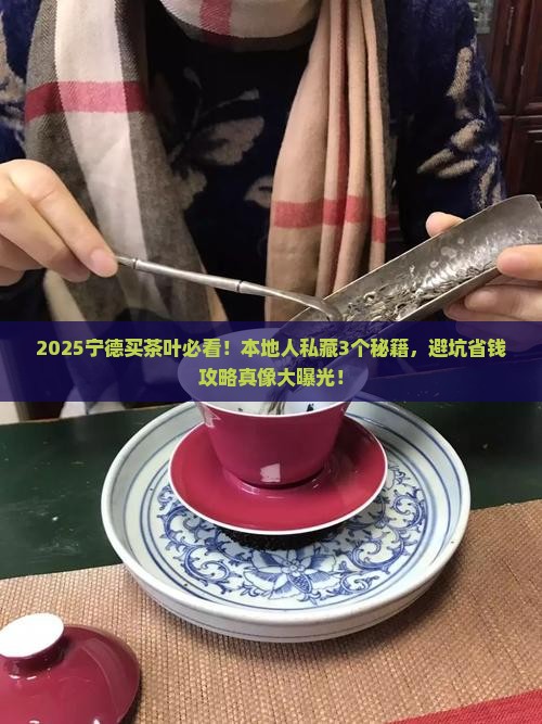 宁德上哪里买茶叶