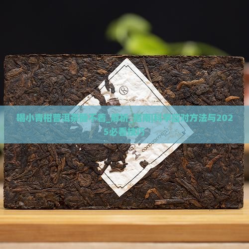 喝小青柑普洱茶睡不着