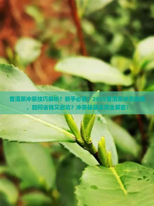 普洱茶冲茶技巧